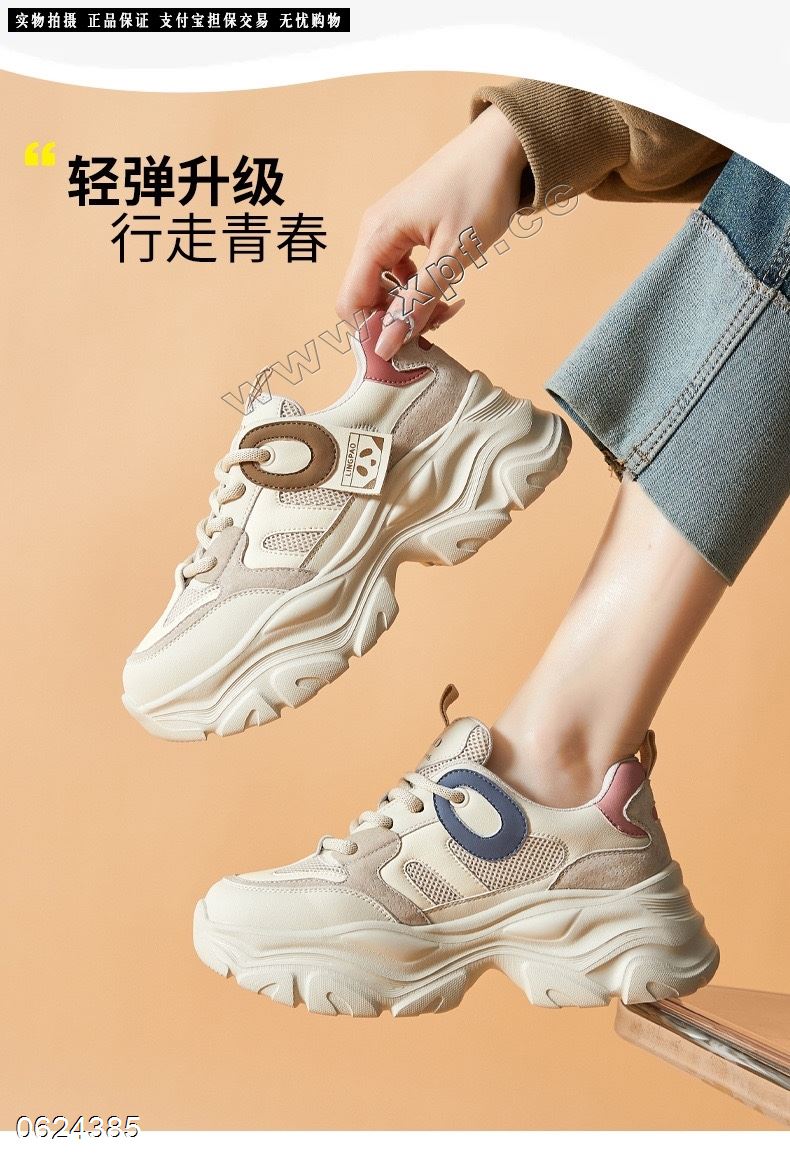 森柏纯C005