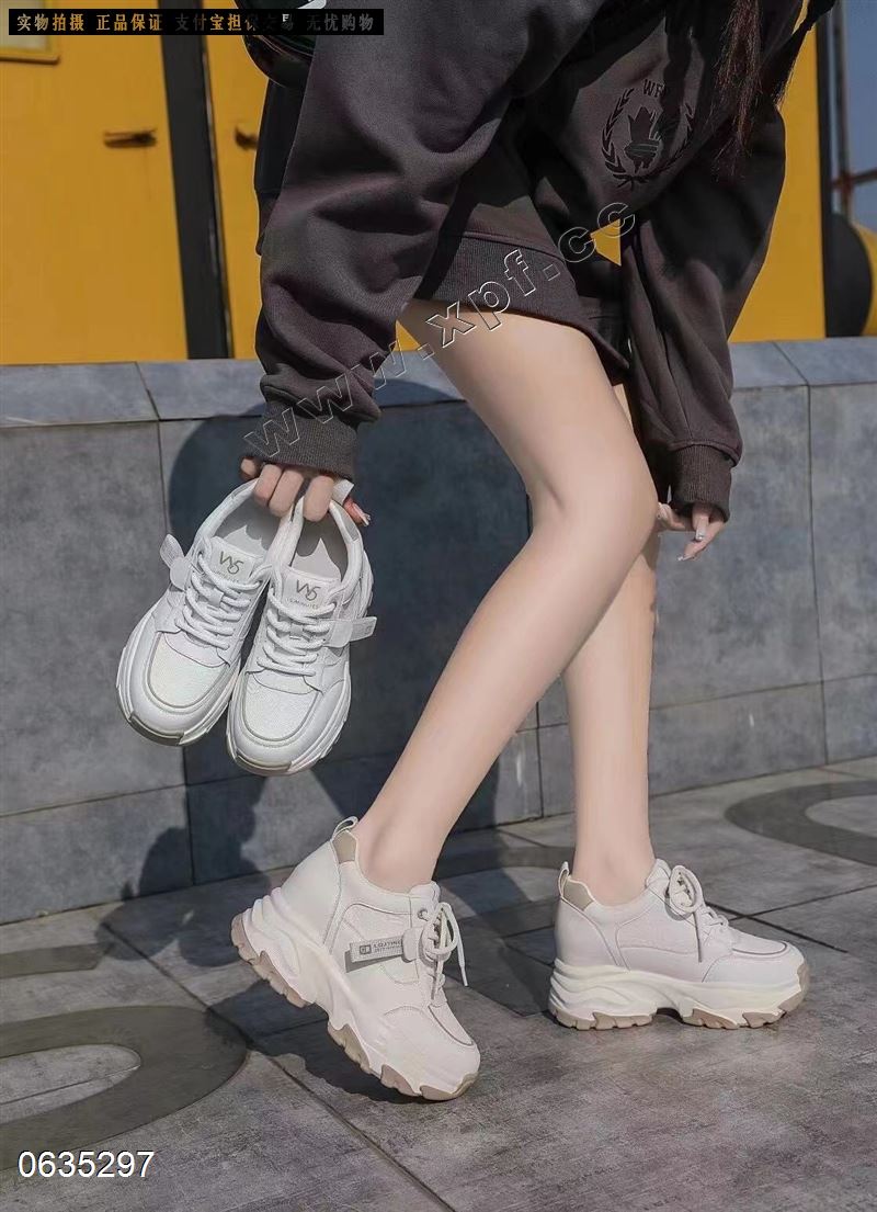 韩菲碟
