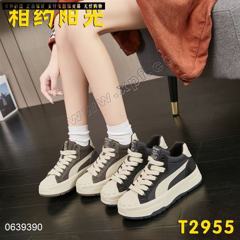 相约阳光2955-2   加棉