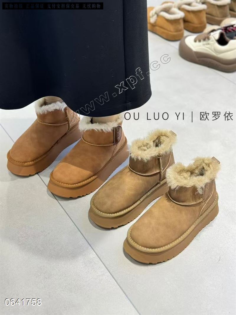 欧罗依2636