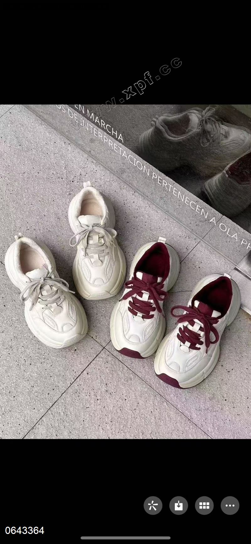 潘朵啦  加棉