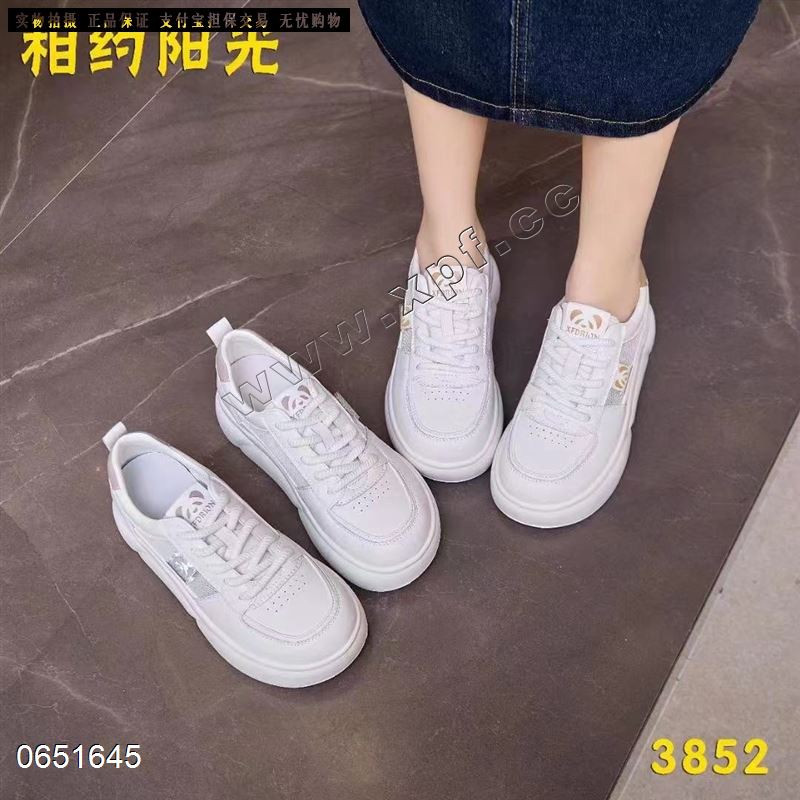 相约阳光  单网