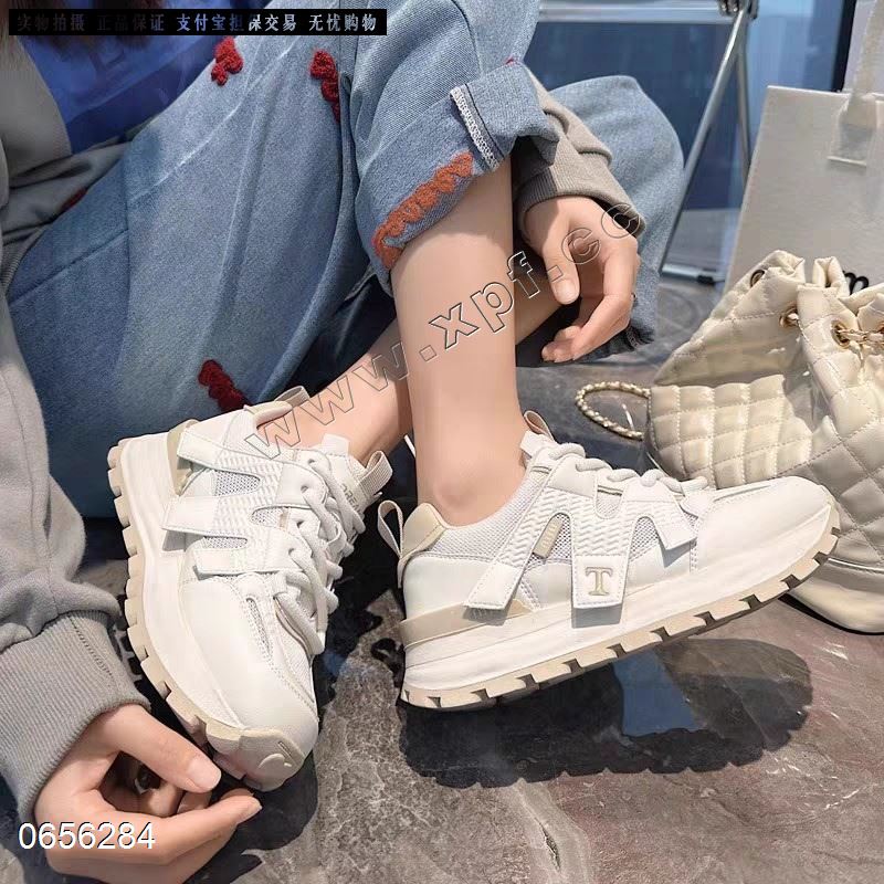 相约阳光  透网