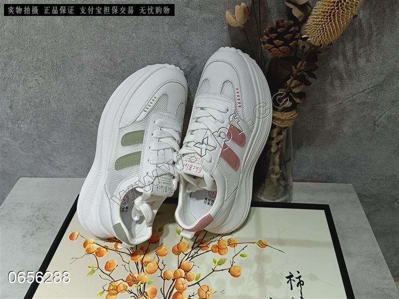 相约阳光  透网
