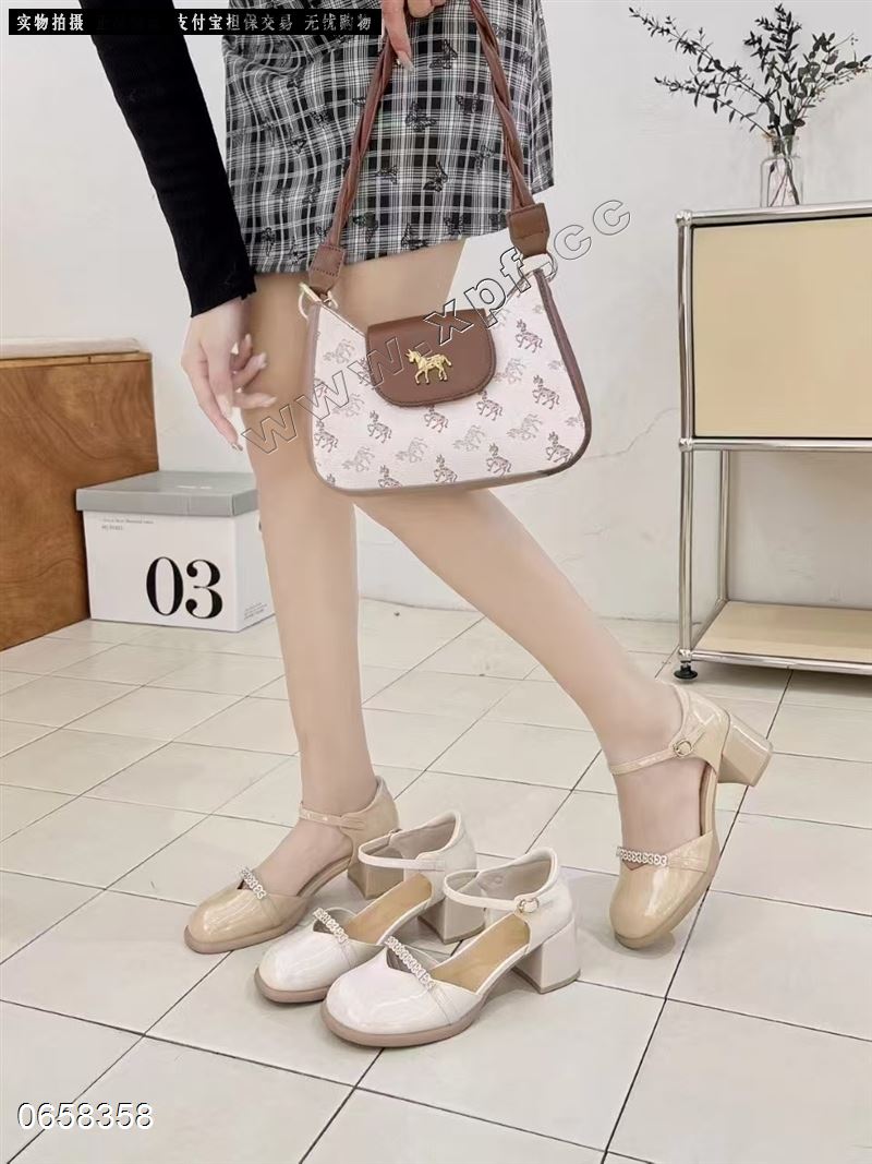 莎尔蒂纳1137