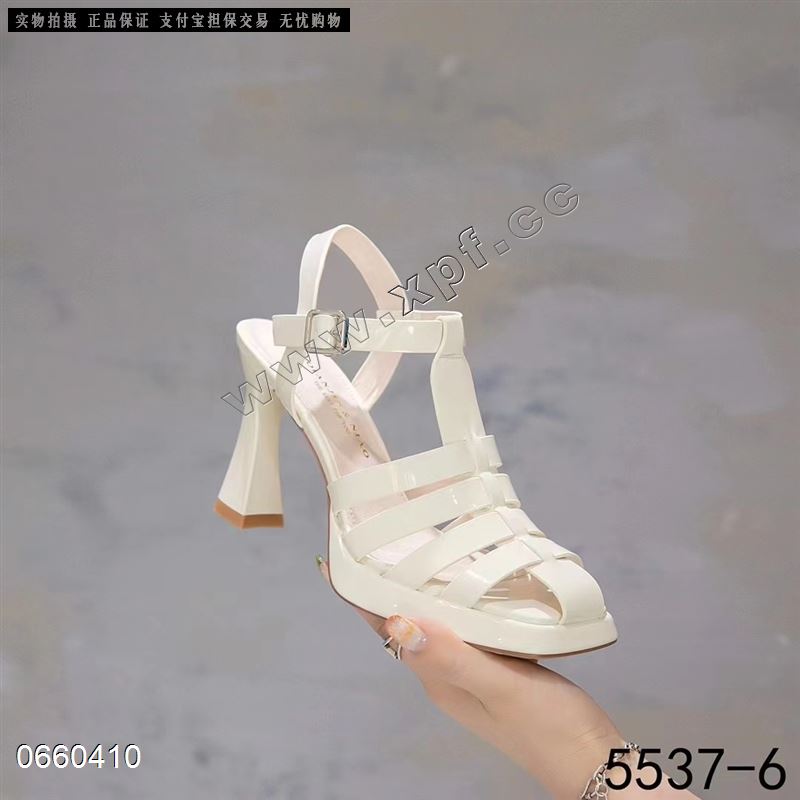 钎金鸟5537-6