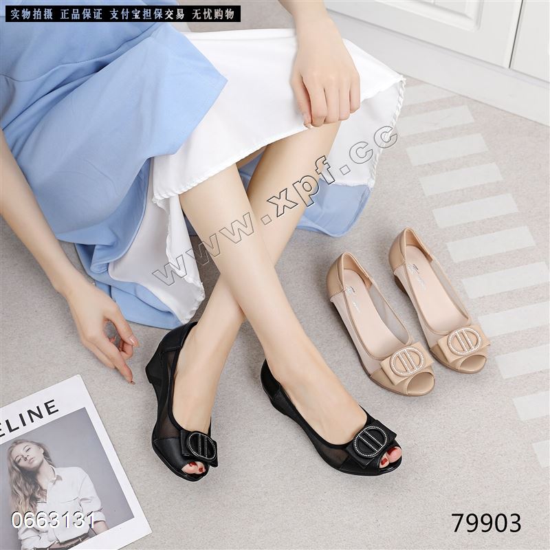 佐布奴79903