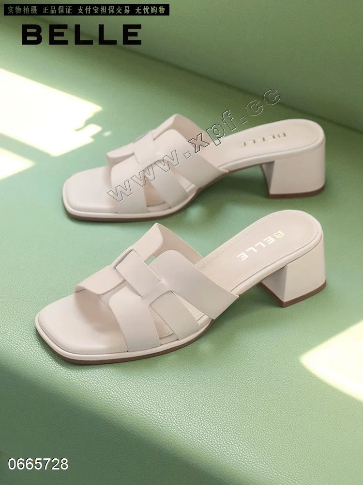 香草鸟8685