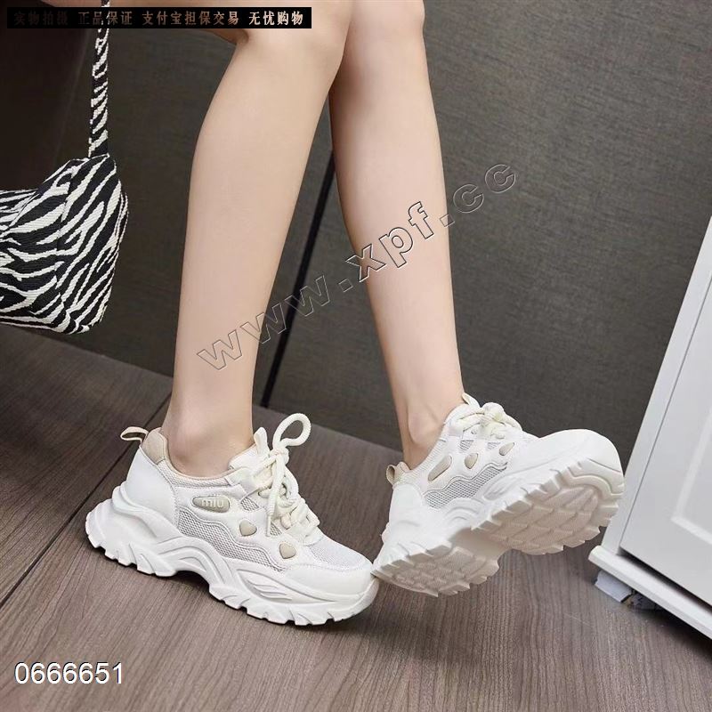 诗戈图5576
