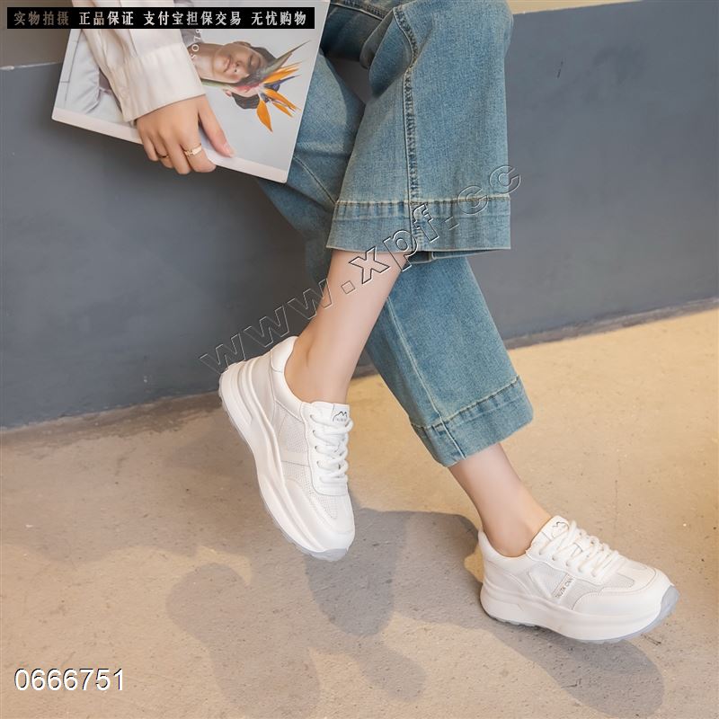 艾小象2516-5