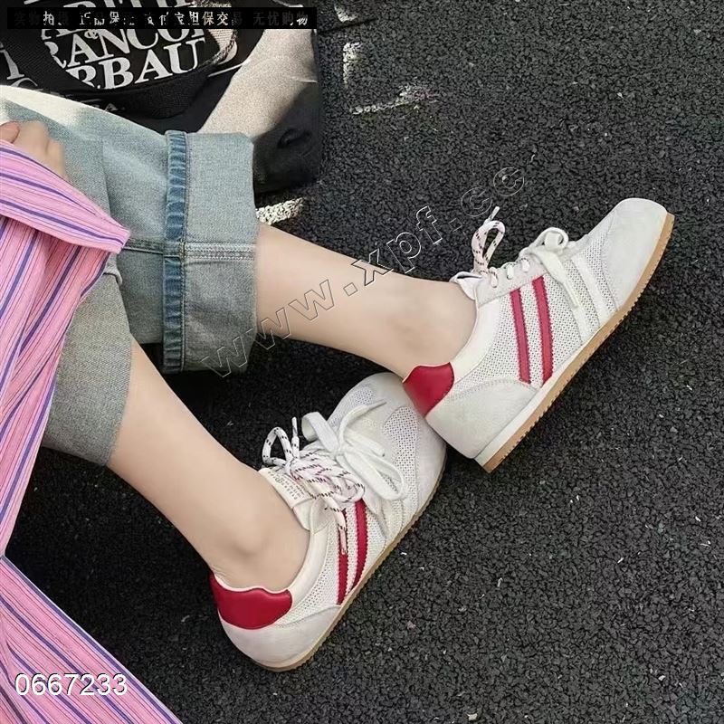 木乙杨662-2  单网
