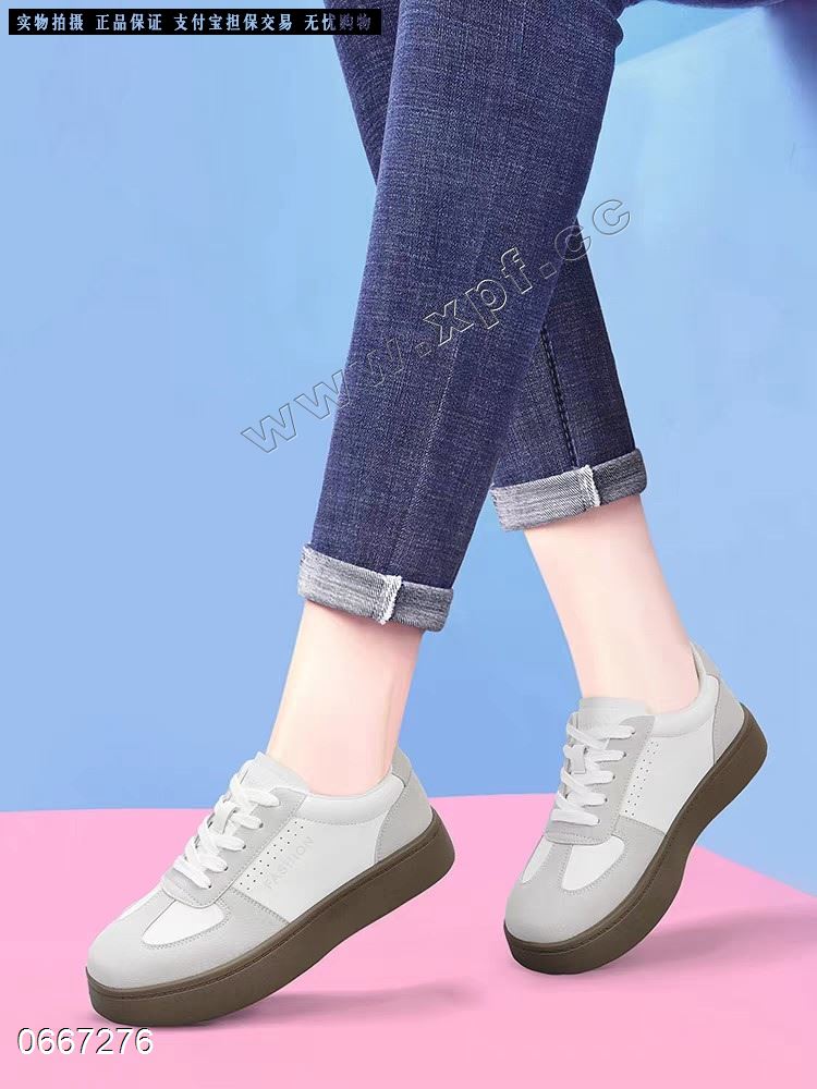 盾狐