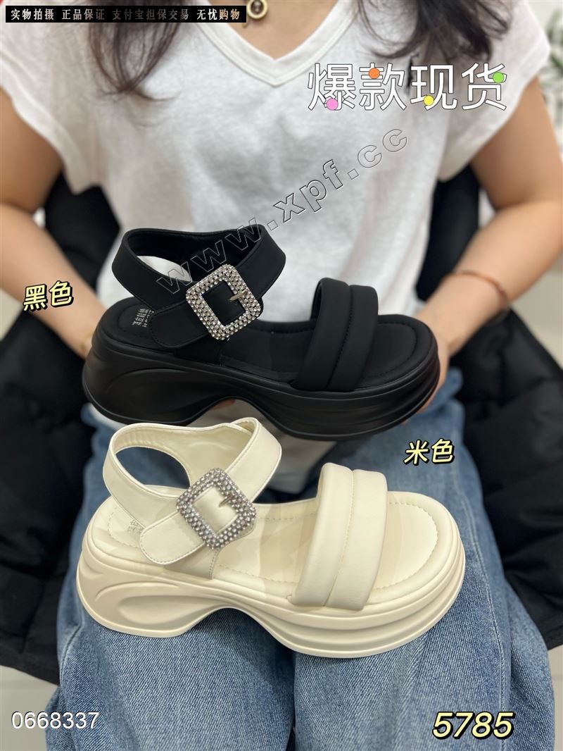 香草鸟5785
