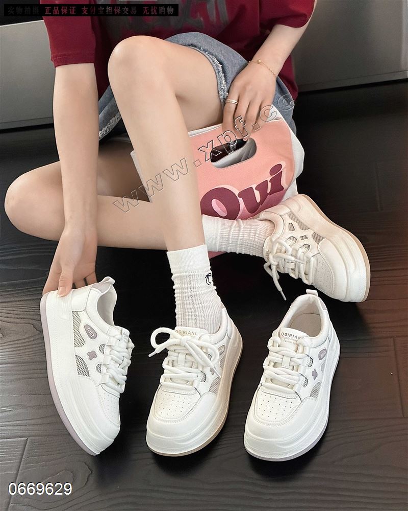 古典兰19-12