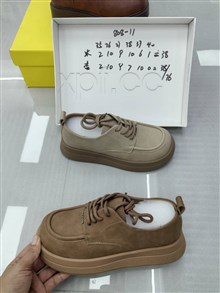 四季光年
